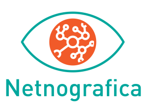 Netnografica logo